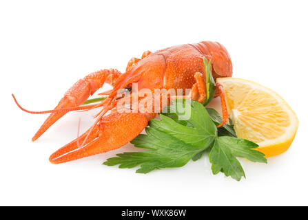 La langouste et le citron isolé sur fond blanc Banque D'Images