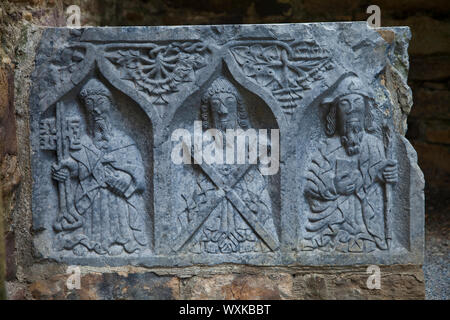 Abadía de Jerpoint, Theux, Condado de Kilkenny, Irlande Banque D'Images