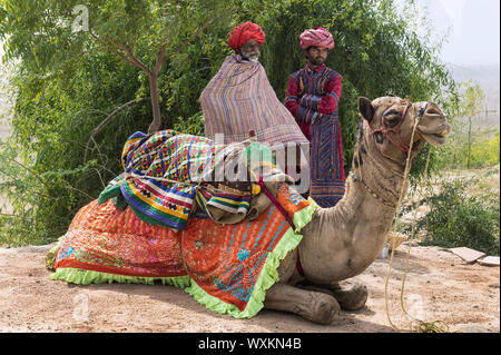 Les hommes de la communauté dans Dhebariya Rabari chiffon traditionnel avec un dromadaire, Great Rann de Kutch Désert, Gujarat, Inde Banque D'Images