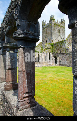 Abadía de Jerpoint, Theux, Condado de Kilkenny, Irlande Banque D'Images