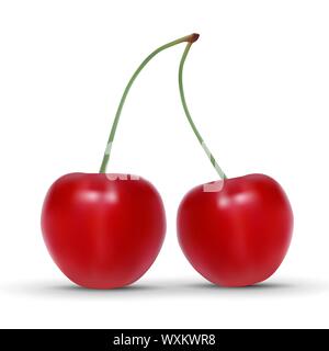 Cerise mûre réaliste isolé sur fond blanc. Vector illustration Illustration de Vecteur