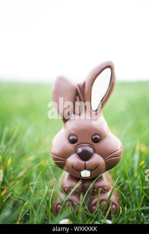 Lapin chocolat assis dans l'herbe à l'extérieur Banque D'Images