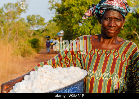 MALI , Bougouni , la récolte des femmes commerce équitable coton biologique / MALI , Biofarmerin Kéniba Biobaumwolle Projekt - Samake aus Dorf Faragouaran Baumwollernte geht nach nach Hause Banque D'Images