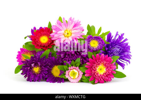 Bouquet de fleurs colorées sur fond blanc asters Banque D'Images