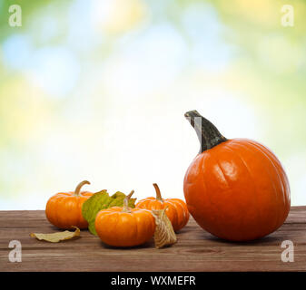 Citrouilles et courges sur planches de bois rustique Banque D'Images