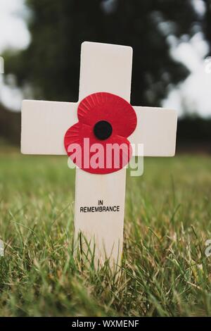 Le jour du Souvenir avec croix dans un champ de pavot, Angleterre Banque D'Images