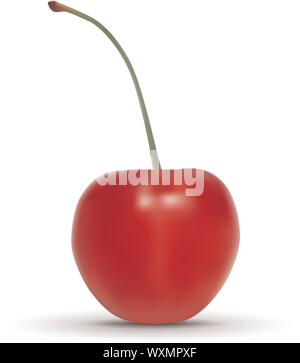 Cerise mûre réaliste isolé sur fond blanc. Vector illustration Illustration de Vecteur