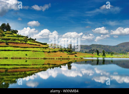 Beautiful mountain lake Bunyonyi en Ouganda Banque D'Images