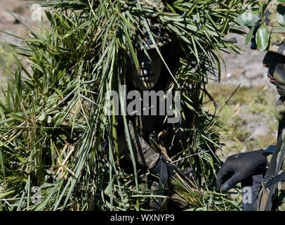 Yamato au Japon. Sep 17, 2019. Sniper de Japon d'Autodéfense de masse prendre part à l'entraînement au tir de l'exercice conjoint de l'écran 'ORIENT' 2019 à Kumamoto, Japon le Mardi, Septembre 17, 2019. Photo par Keizo Mori/UPI UPI : Crédit/Alamy Live News Banque D'Images