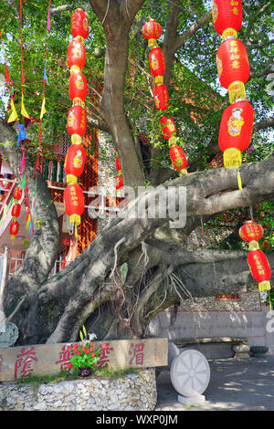 Shanghai, Chine - 15 JUIN 2019- Vue de la Mazu temple dédié à la déesse des marins en Xunpu Village, Quanzhou, province du Fujian, Chine. Banque D'Images