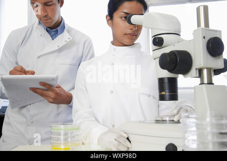 Female scientist réglage microscope avec collègue masculin en relevant in laboratory Banque D'Images