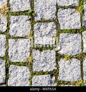 Chemin de ronde en pierre ou fond texturé de la chaussée avec de l'herbe et la croissance de mousse dans les joints dans un appartement Lay Close Up Banque D'Images