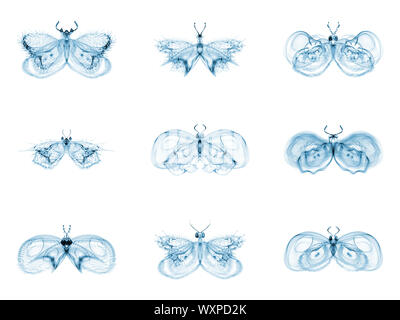 Série Papillons fractale. Interaction des papillons fractale isolé sur le sujet de la science, la créativité et la conception Banque D'Images