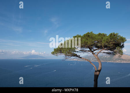 Vue sur le golfe de Naples de la Villa Lysis accueil de Jacques Fersen dans l'île de Capri en été Itay Banque D'Images