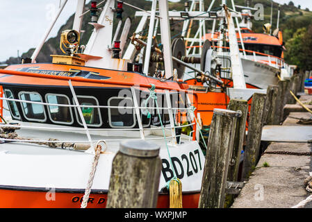 Les chalutiers de pêche côtière appartenant à S&P Chalutiers amarrés au port d'Ilfracombe quay dans le Nord du Devon. Banque D'Images