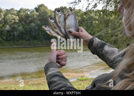 Poisson séché salé dans les mains d'une femme. Séché, poisson séché, taranka ou Roach. Girl détient les poissons dans une veste de style militaire. La pêche. L'été. Vous détendre wit Banque D'Images