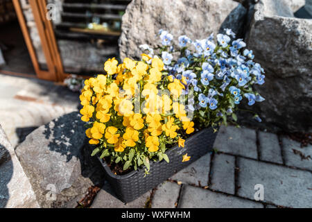 Café de la rue de l'intérieur avec des fleurs en pot en bois Banque D'Images