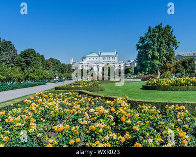 Roses dans le Volksgarten (jardin) avec le Burgtheater dans l'arrière-plan - Vienne, Autriche. Banque D'Images