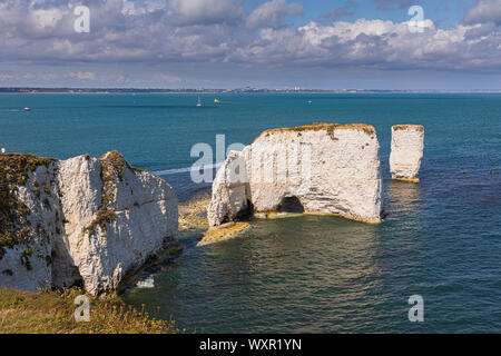 Old Harry Rocks sont trois formations de craie, dont une pile et un moignon, situé à Handfast Point, sur l'île de Purbeck, dans le Dorset, dans le sud de l'Engla Banque D'Images