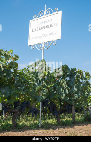 Château La Gaffeliere pour signer dans la région de Bordeaux, Saint-Emilion, France Banque D'Images