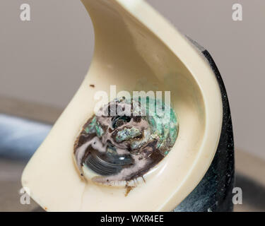 Vieille Fontaine d'eau potable de l'eau qui fuit à l'origine de la tuyère d'une croissance de moisissures malsaines Banque D'Images