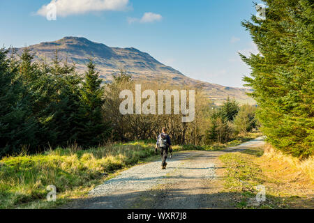 La colline de Biod Mòr à partir d'une piste forestière dans la forêt fragile Glen Loch Eynort ci-dessus, ont profité, Isle of Skye, Scotland, UK. Banque D'Images