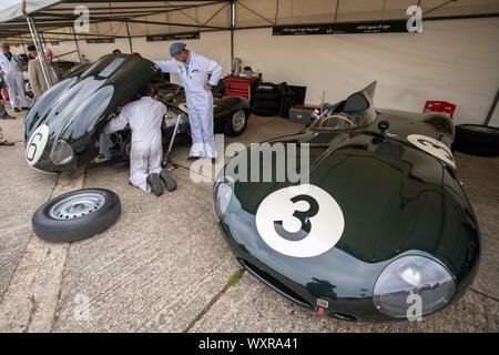 Jaguar D Type. Voitures anciennes des années 30 aux années 50 dans le paddock durant le festival de Goodwood Revival, au Royaume-Uni. Banque D'Images