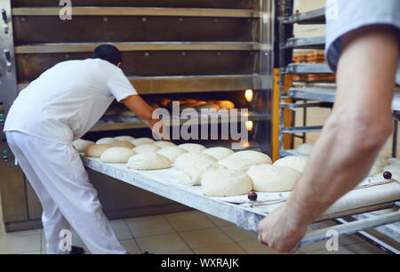 Deux boulangers sont poussant un plateau de pain dans le four à la boulangerie Banque D'Images