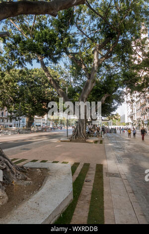 La ville de Malaga, après les travaux de construction, Alameda, principale rue piétonne récemment. Andalousie, Espagne Banque D'Images