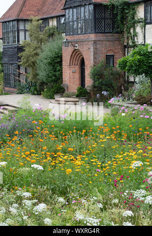 Jardin de fleurs sauvages plantés devant le laboratoire de RHS Wisley Gardens. Surrey. L'Angleterre Banque D'Images