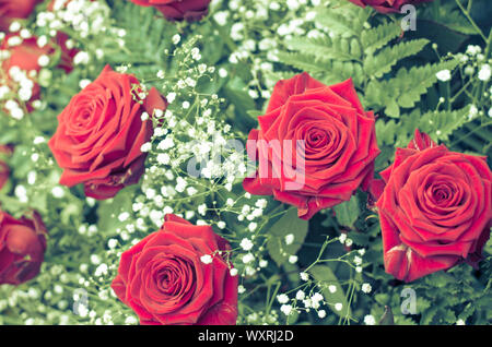 Guirlande de roses rouge vif avec des feuilles vertes et petites fleurs blanches Banque D'Images