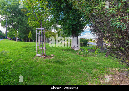 Arbres et arbustes dans un parc sur les rives de la Vistule à Cracovie Banque D'Images