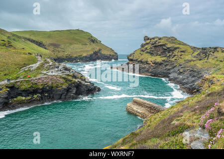 Warren point à l'entrée de Boscastle Harbour en Cornouailles du Nord, Angleterre, Royaume-Uni. Banque D'Images