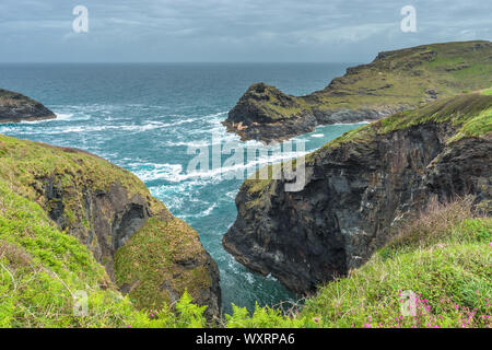 Warren point à l'entrée de Boscastle Harbour en Cornouailles du Nord, Angleterre, Royaume-Uni. Banque D'Images