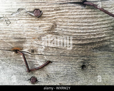 Une planche en bois avec des clous en fer vieux courbé. La texture du bois. Vue de dessus. Banque D'Images