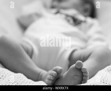Pieds délicate de bébé à se concentrer tout en corps n'est pas nette, noir et blanc Banque D'Images