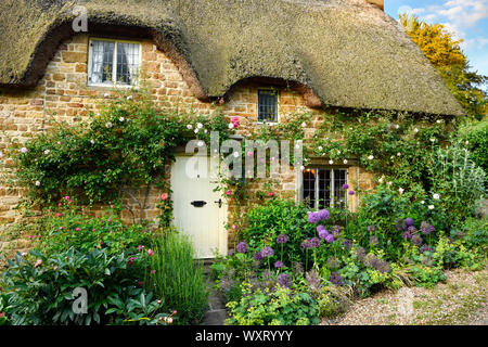 Toit de chaume historique chalet à Chadlington village avec des fleurs de jardin et de l'escalade sur cotswold stone rose jaune Oxfordshire England Banque D'Images