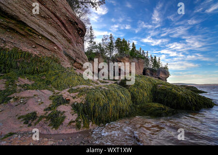 Des pots de fleurs, des rochers de Hopewell, Nouveau-Brunswick, Canada Banque D'Images