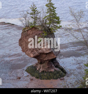 Des pots de fleurs, des rochers de Hopewell, Nouveau-Brunswick, Canada Banque D'Images