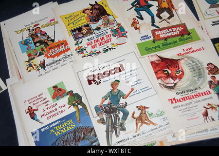 Affiche de film classique des années 1960, beaucoup de films de famille de Walt Disney. Banque D'Images