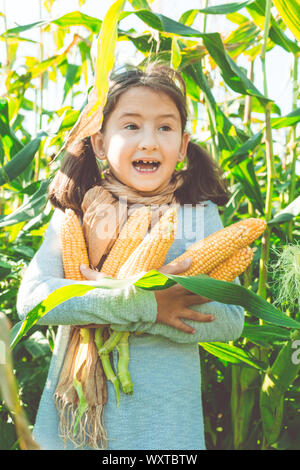 Young happy farmer girl se dresse sur un champ de maïs et est titulaire d'une récolte de maïs Banque D'Images