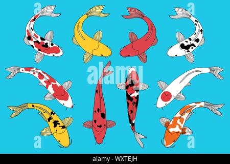 Types de poissons koi Illustration de Vecteur