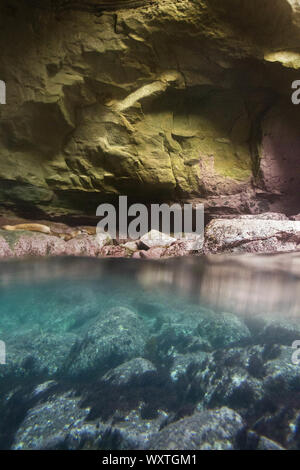 San Diego, Californie, USA. 24 mai, 2010. La scène de ci-dessous et sous la surface dans une grotte à La Jolla Cove sur une chaude journée d'été. L'anse est protégé en tant que partie d'une réserve marine, qui est riche en vie marine, et est populaire auprès des kayakistes, les plongeurs, nageurs et plongeurs. Credit : KC Alfred/ZUMA/Alamy Fil Live News Banque D'Images