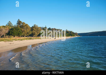 Palm Beach dans le nord de Sydney, sur un ciel bleu ensoleillé jour avec les gens dans la distance et les arbres seulement, le bord de plage, New South Wales, Australie Banque D'Images