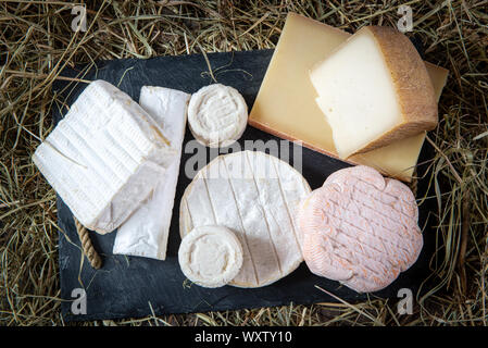 Délicieux différents fromages français sur la paille Banque D'Images