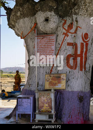 04 Mar 2019 au tronc de l'arbre neem hough Hinglaj Mata Temple à Hinglaj himmatnagar idar village road Sabarkantha Gujarat Inde Banque D'Images