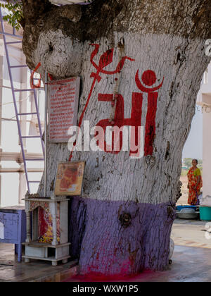 04 Mar 2019 au tronc de l'arbre neem hough Hinglaj Mata Temple à Hinglaj himmatnagar idar village road Sabarkantha Gujarat Inde Banque D'Images