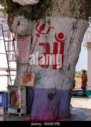 04 Mar 2019 au tronc de l'arbre neem hough Hinglaj Mata Temple à Hinglaj himmatnagar idar village road Sabarkantha Gujarat Inde Banque D'Images