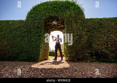 Wakehurst, UK. 18 septembre 2019. Royal Botanic Gardens, Kew, les horticulteurs de profiter de la chaude sort pour effectuer la coupe annuelle de l'if dans la couverture Pleasaunce Jardin de Wakehurst dans West Sussex. Le travail dure trois semaines. Crédit : Jim Holden/Alamy Live News Banque D'Images