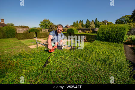 Wakehurst, UK. 18 septembre 2019. Royal Botanic Gardens, Kew, les horticulteurs de profiter de la chaude sort pour effectuer la coupe annuelle de l'if dans la couverture Pleasaunce Jardin de Wakehurst dans West Sussex. Le travail dure trois semaines. Crédit : Jim Holden/Alamy Live News Banque D'Images